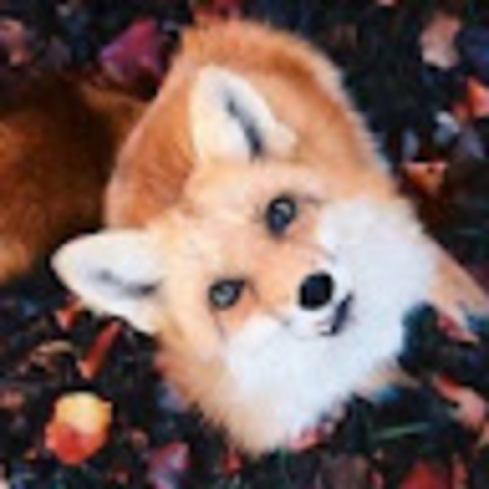 Meet your Posher, Julieanna